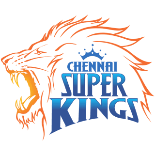 Chennai Super Kings (CSK) chennai unlisted shares